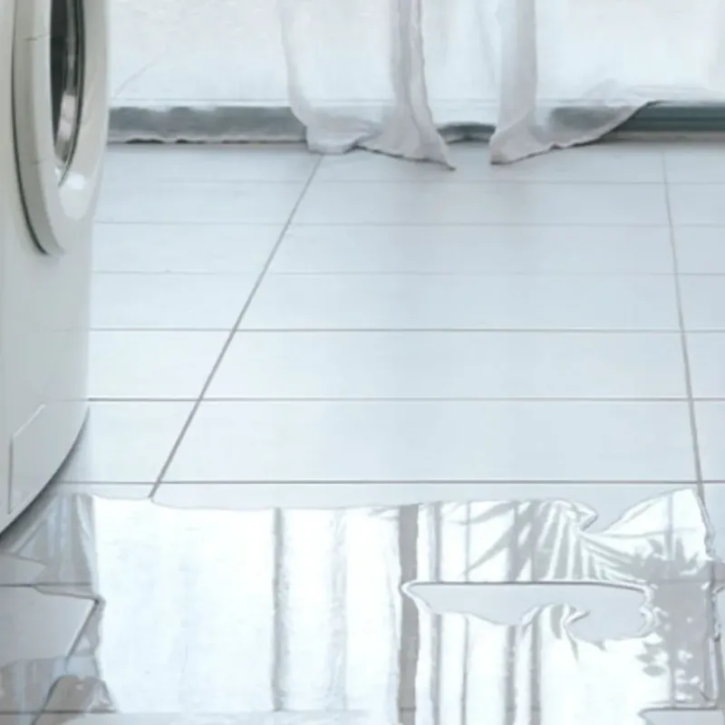 Appliance Leak Cleanup in Romoland, CA